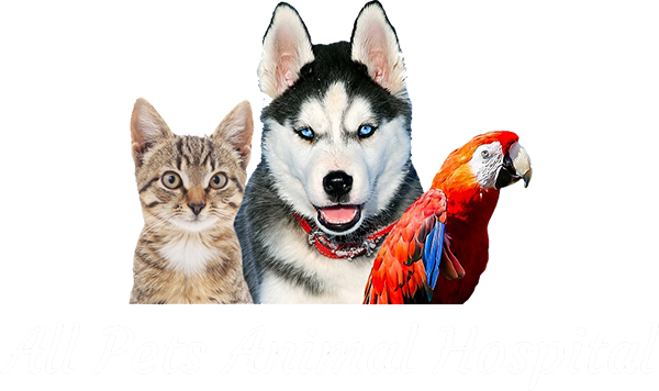 All Pets Animal Hospital